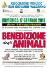 Ingrandisci la Foto
